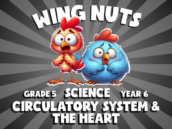 Circulatory System & the Heart WING NUTS Science Game | No-Prep Year 6 Review Activity