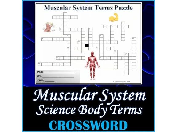 The Muscular System Science Crossword Puzzle Activity Worksheet