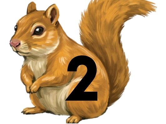 Autumn Squirrel Number Mats 1–10 – Acorn Counting & Loose Parts – EYFS Maths