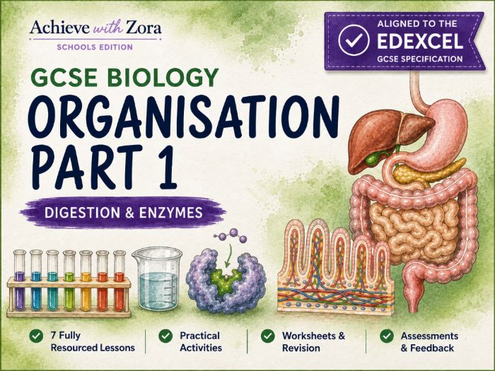Organisation Part 1: Digestive System & Enzymes – Complete Unit 2 for Edexcel GCSE Biology