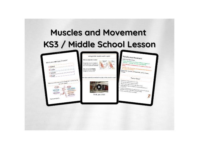 Muscles and Movement KS3 Science lesson