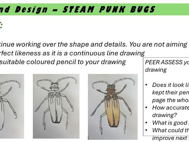 KS3 Bug Unit - Lesson one - Continuous line drawing