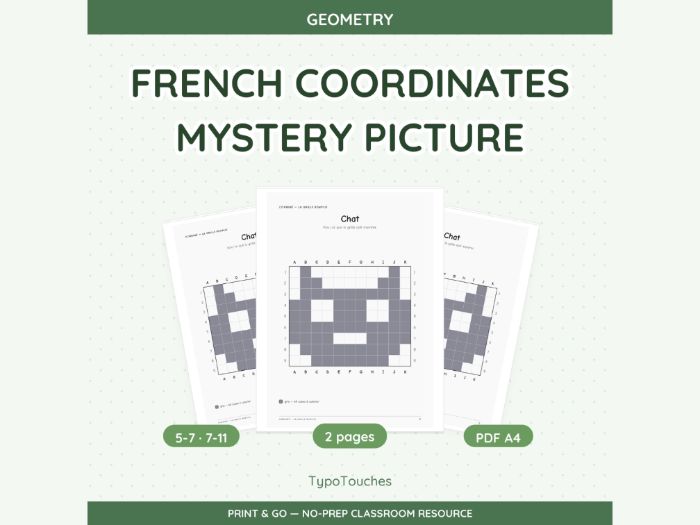 French Coordinates Mystery Picture | 2 Sheets
