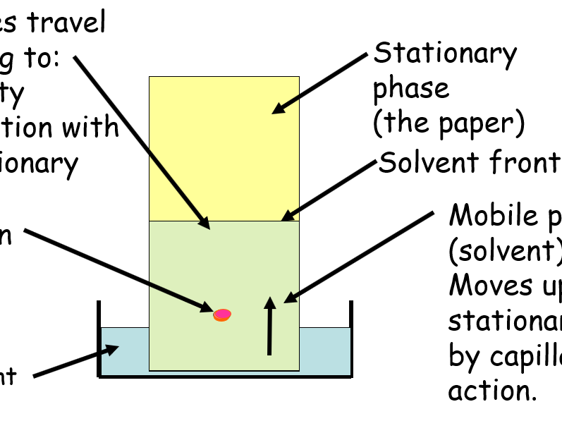 Complete A-Level Biology Lesson: Chromatography – Principles, Techniques & Rf Calculations