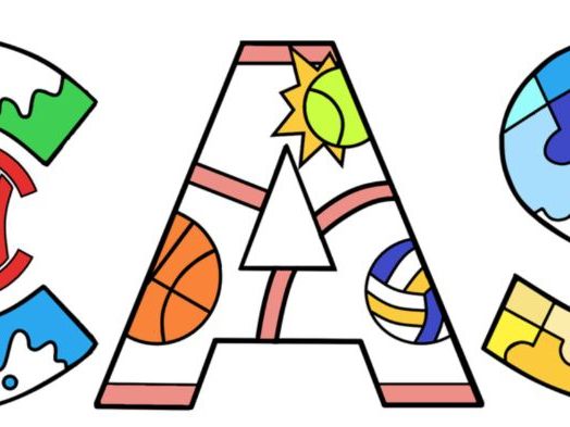 CAS Handbook for the IB DP