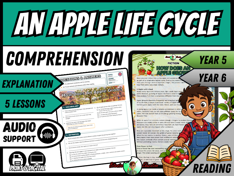 How Does an Apple Grow? | Apple Life Cycle Reading Comprehension | Year 5 & 6