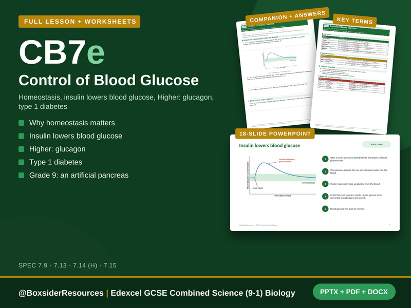 CB7e Control of Blood Glucose | Edexcel GCSE Combined Science (9-1) | Lesson + Worksheet
