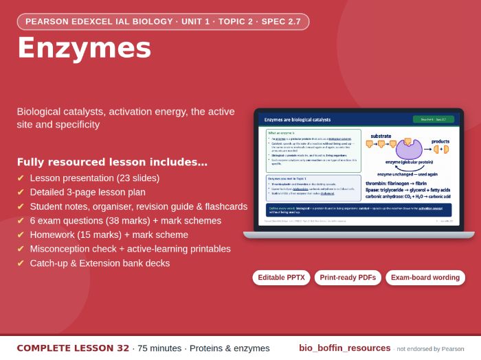IAL Biology Edexcel – Enzymes & Active Site