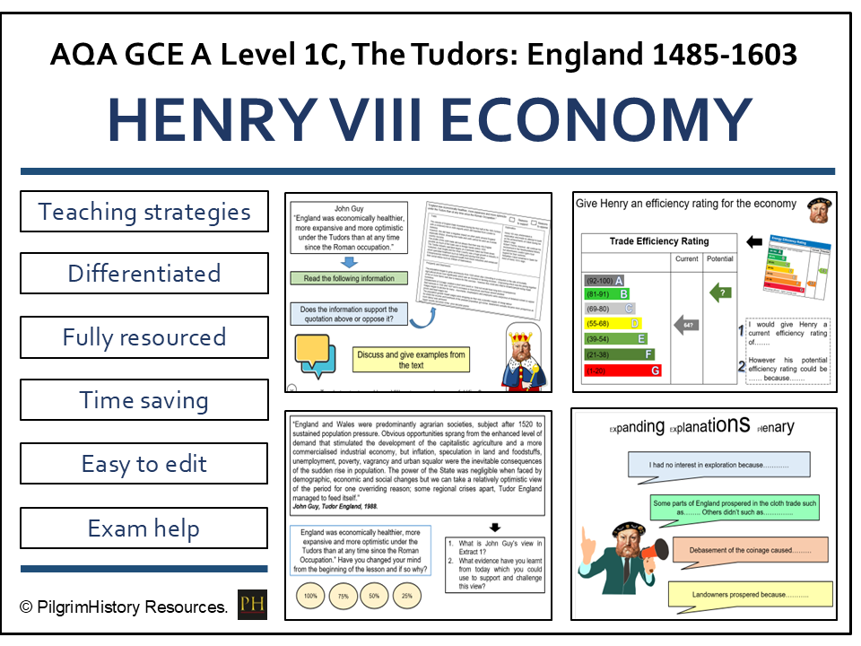 Henry VIII and the Economy: Trade, Finance and Economic Change | AQA A Level History