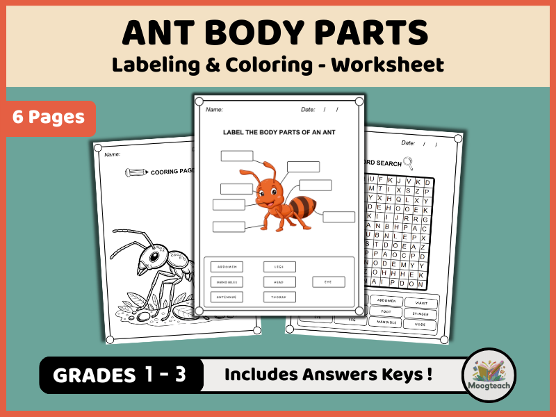 Ant Body Parts Worksheet Pack | Labeling, Coloring & Word Search (K-2 Insect Science PDF)