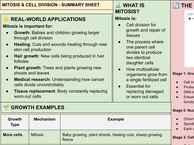 B1 AQA Trilogy Mitosis