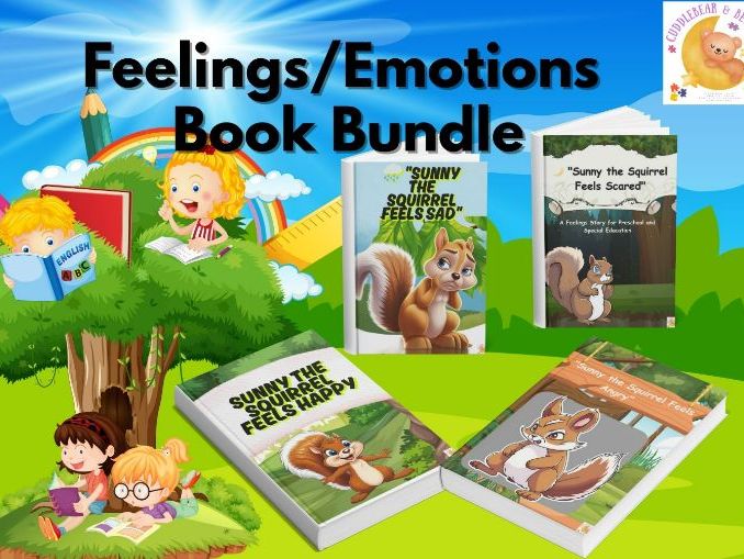 Emotional Social Story Adaptive Book | Feelings & Emotions Visual Supports