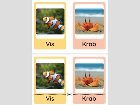 Gratis 3-delige Kaarten met Zeeleven Thema | 0–5 Jaar | Montessori-Inspiratie voor Taalontwikkeling