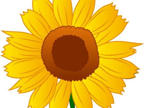 Summer Writing Worksheet using adjectives - KS1