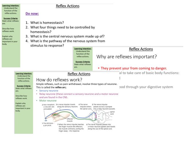 Reflex Actions
