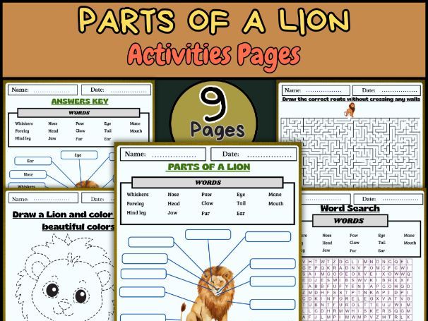 Parts of a Lion – Labeling, Word Search, Coloring Pages & Activities
