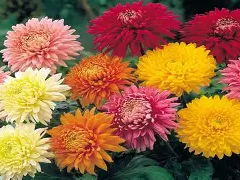 Eduqas Component 1 style paper