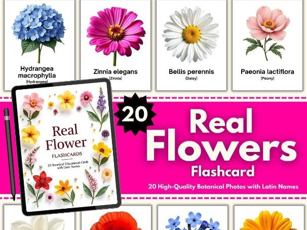 Real Flower Flashcards – 20 Botanical Photos with Latin Names | Montessori