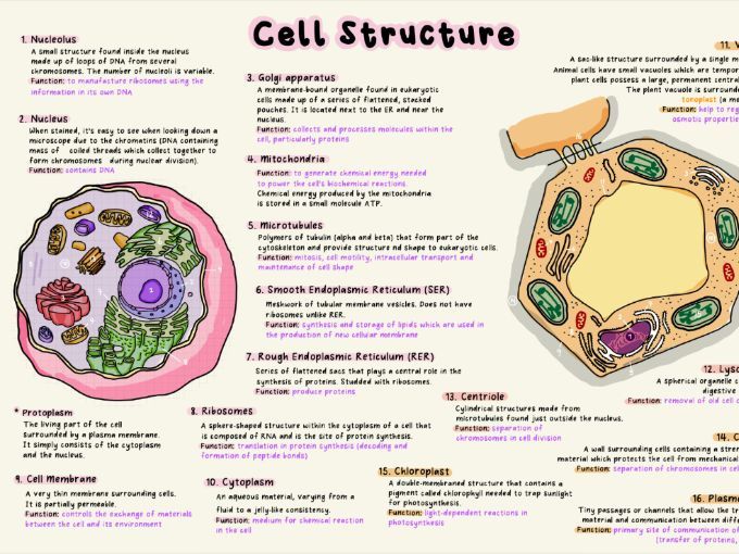 Cie as biology 9700 1 cell structure teaching resources