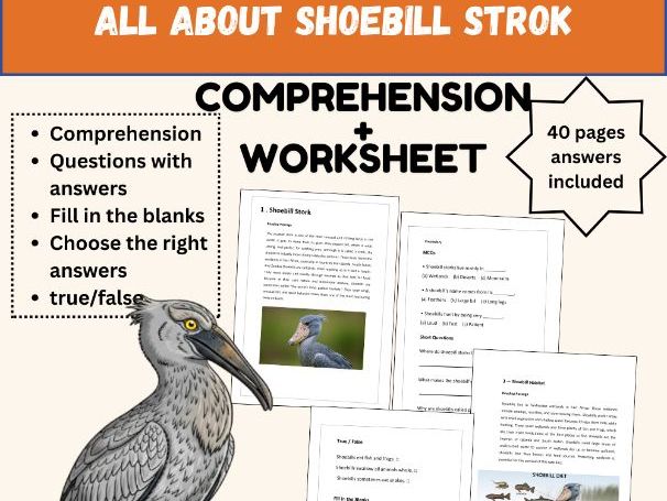 All About the Shoebill Stork – Nonfiction Reading & Activities for Kids
