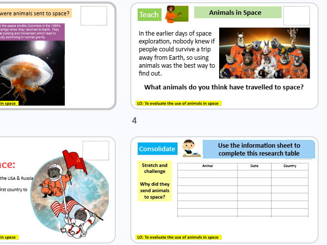 Animals in Space KS3 Science