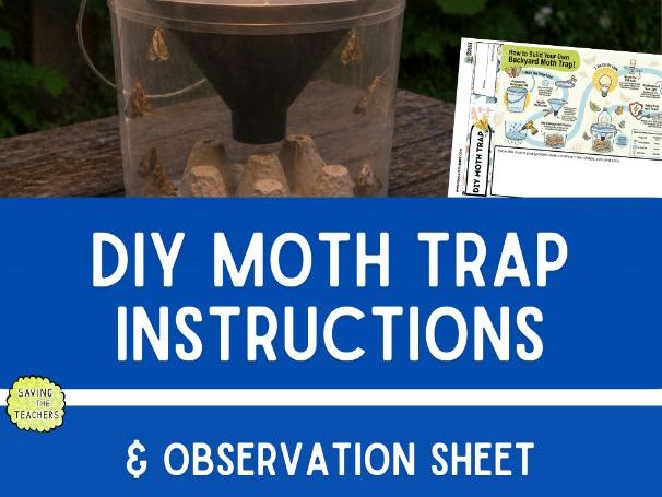 DIY Moth Trap Activity | Nocturnal Wildlife Science for Ages 4–12