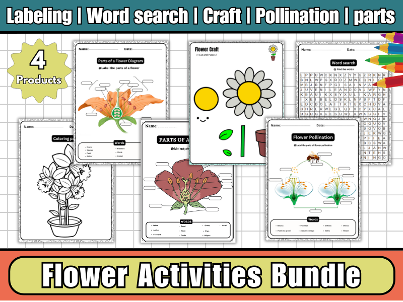 Flower Activities Bundle: Flower Craft Activity, Flower Anatomy Diagram, Pollination, Word Search & Coloring Pages | Plant Science for Kids