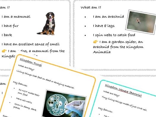 5 Kingdoms of Life: Fact Sheets and ‘What am I?’ Game