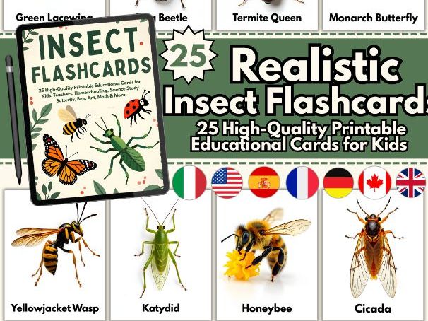 Realistic Insect Flashcards – 25 High-Quality Printable Educational Cards