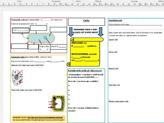 AQA Foundation Cells Revision Crib Sheet