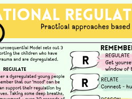 Staffroom Synopsis Series: Relational Regulation
