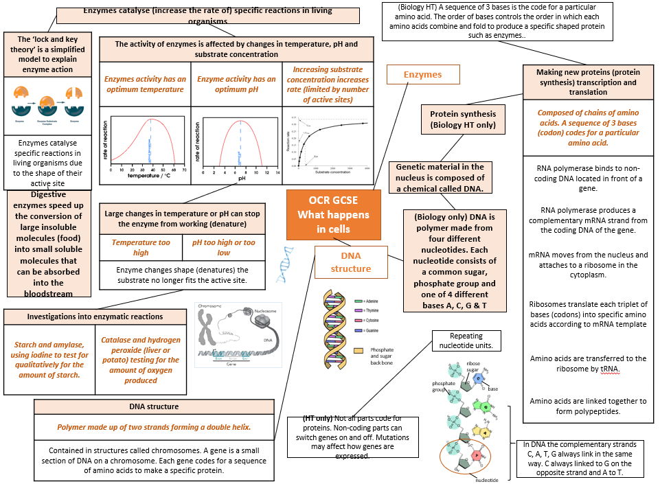 OCR GCSE A 9-1 Paper 1 Knowlegde Organisers