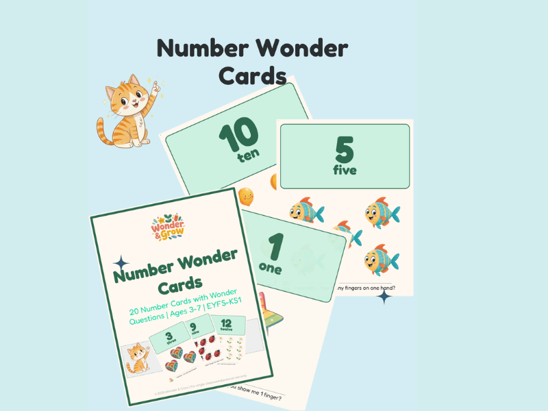 Number Wonder Cards 1-20 | Math EYFS KS1