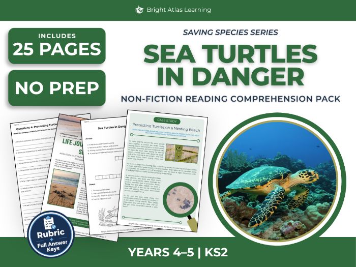 Sea Turtles Reading Comprehension | KS2 Years 4 & 5