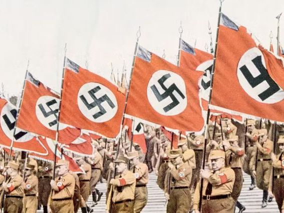 Cambridge iGCSE History - 3. The Nazi regime