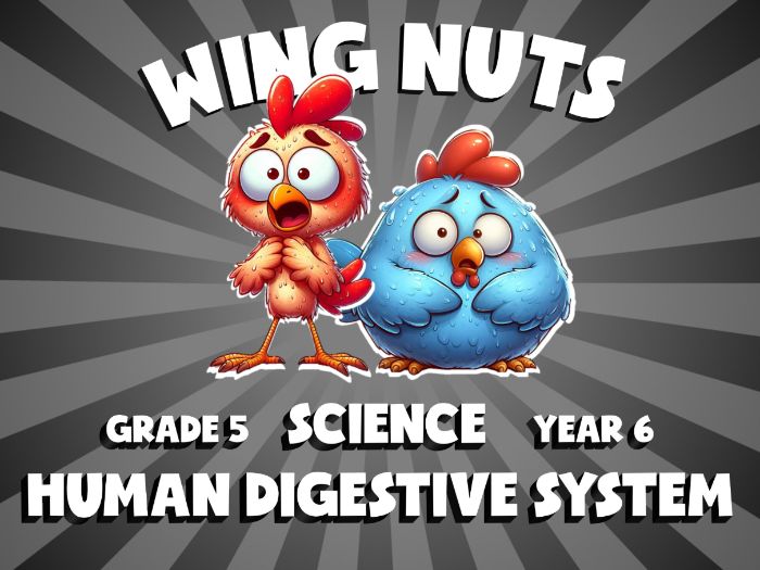 Human Digestive System WING NUTS Science Game | No-Prep Year 6 Review Activity