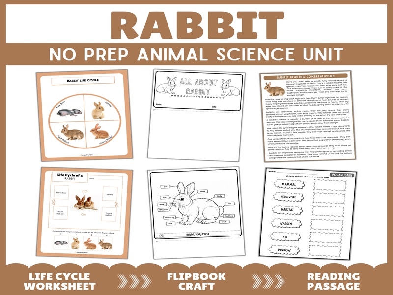 Rabbit Life Cycle Cut and Paste, Reading Passage & Flipbook Activities