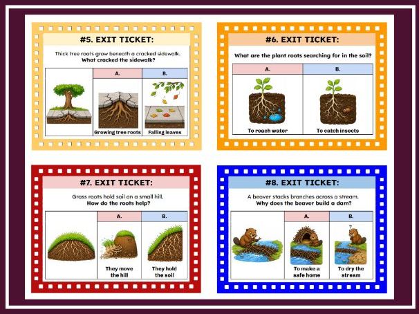 NGSS K-ESS2-2 Plants and Animals Change the Environment to Meet Their Needs | Kindergarten Science