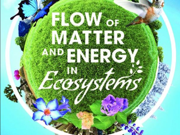 ESS 2.3 Biogeochemical cycles & 2.4 Climate and Biomes first exams 2026