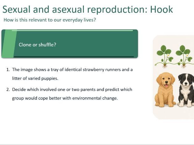 Sexual and asexual reproduction (GCSE)