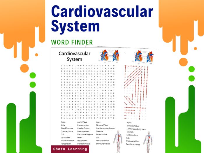 CARDIOVASCULAR SYSTEM SCIENCE ACTIVITY - WORD FIND FINDER GAME ...
