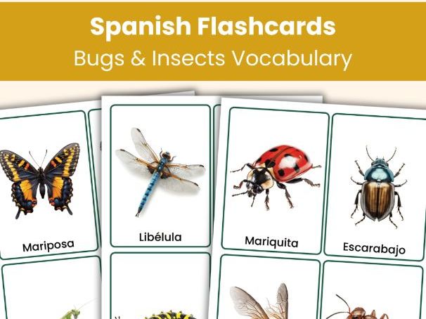 Spanish Bugs and Insects Flashcards | Real Photo Vocabulary Cards | Printable Learning Resource