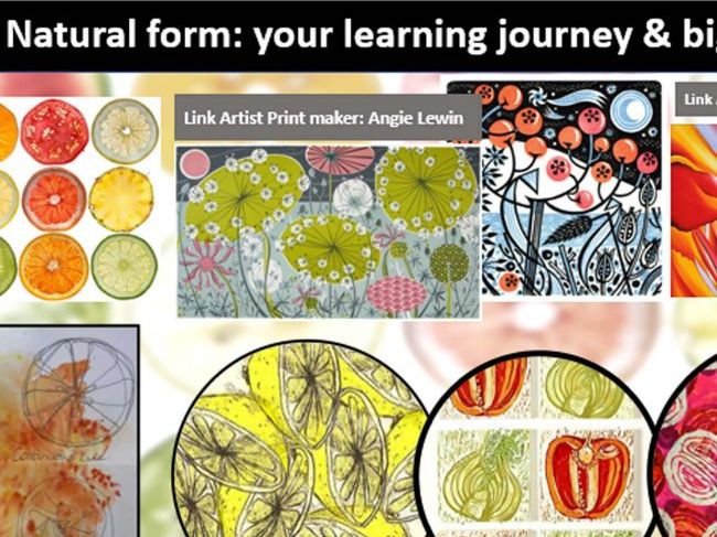 Natural Forms Lesson KS3