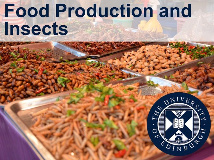 Food Production and Insects (Interdisciplinary Learning)