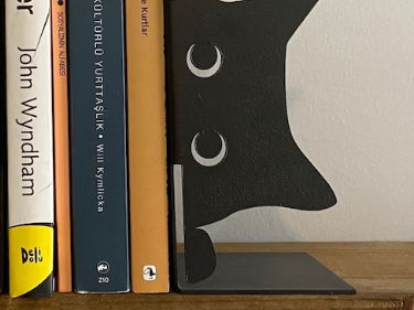 DT Practical Guide - Wooden Bookend