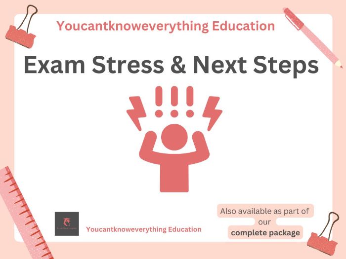 Exam Stress & Next Steps Lesson