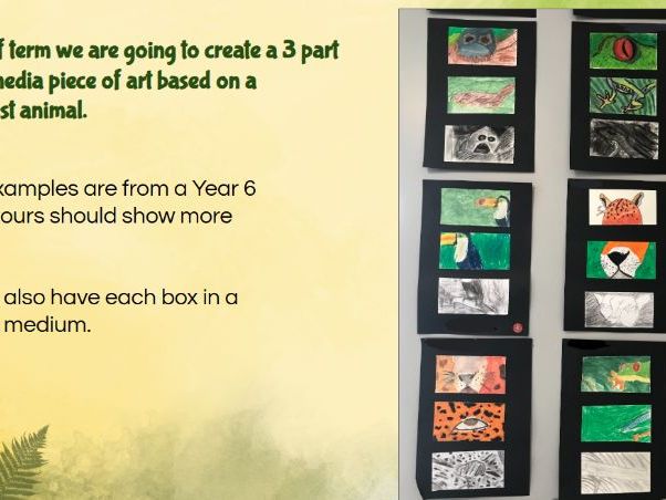 Mixed media Art Lessons - based on the Rainforest