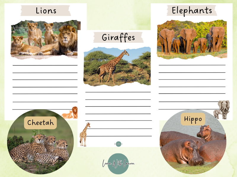 Hot Climate Animal Writing Pack