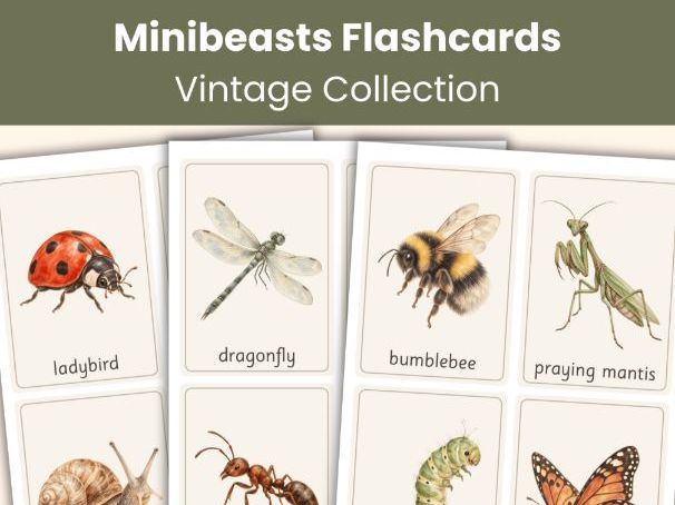 Minibeasts Flashcards | 36 Printable Insect & Garden Creature Cards