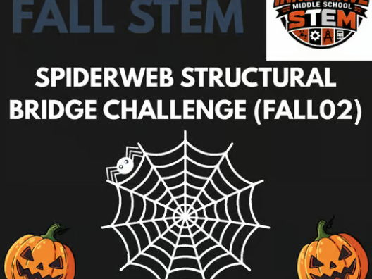 Spiderweb Bridge Physics STEM Lab FALL02